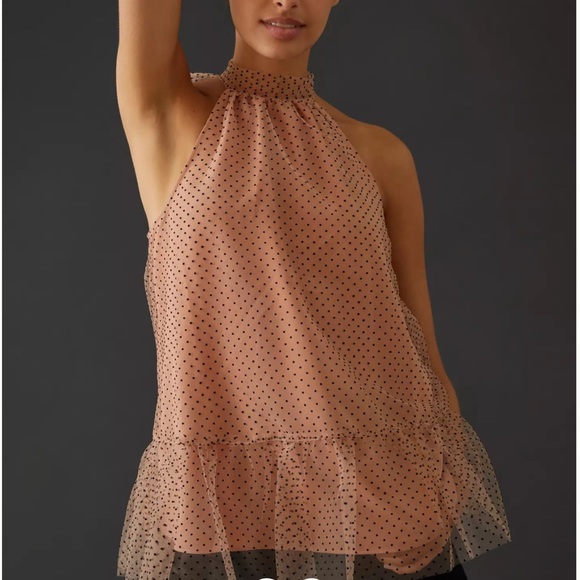 NWT Anthropologie Maeve Polka Dot Sheer Ruffle Top - Gorgeous! - Picture 2 of 5